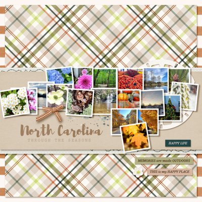 NC through the seasons (Scrap In A Shape)