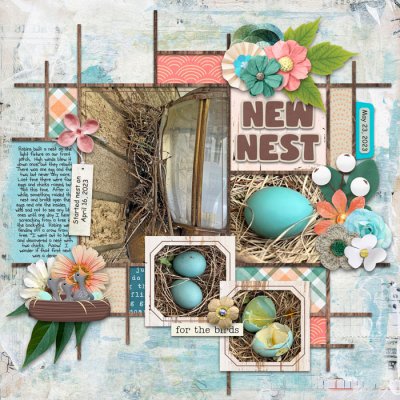 New Nest