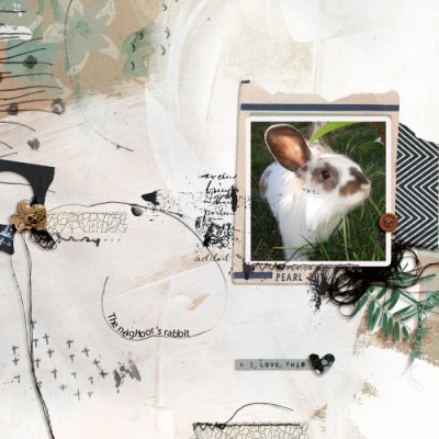 The neighbor's rabbit