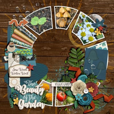 The Beauty of the Garden
