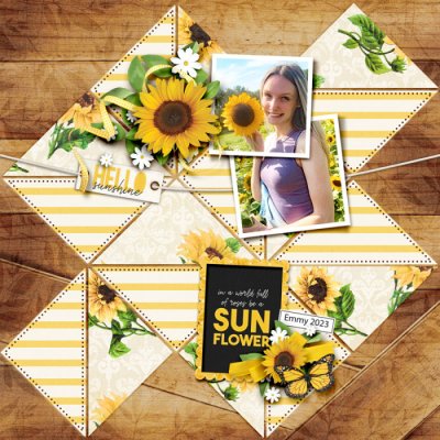 HelloSunshine2023web