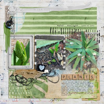 Plants