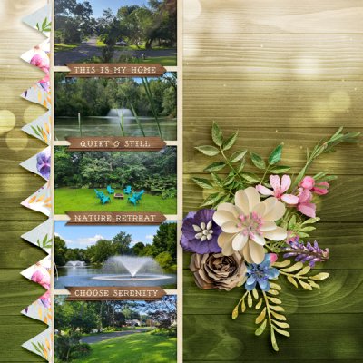 Great Outdoors - home surroundings