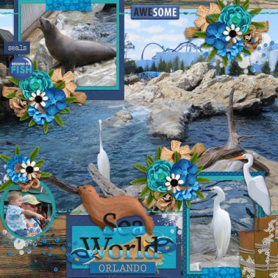 Sea World Orlando