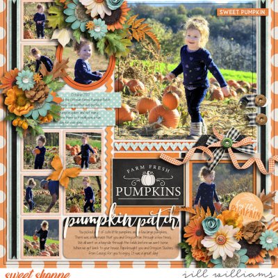 Pumpkin Patch Fun