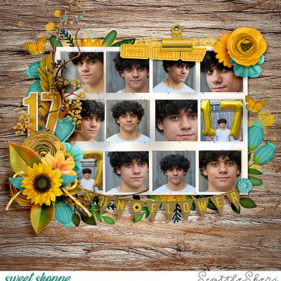 Golden Sunflower