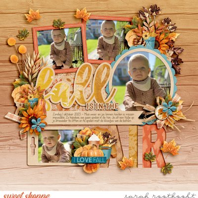 Fall Is In The Air
