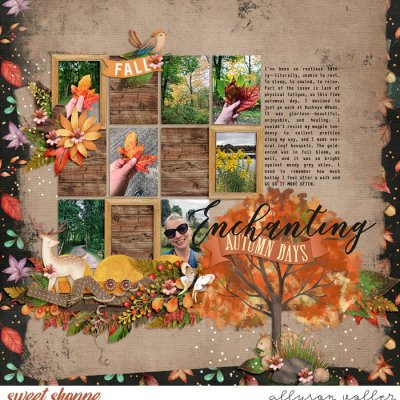 Enchanting Autumn Days