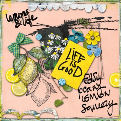 Lemons and Life