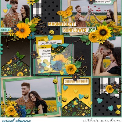 Sunflower Joy
