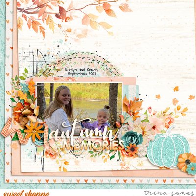 Autumn Memories