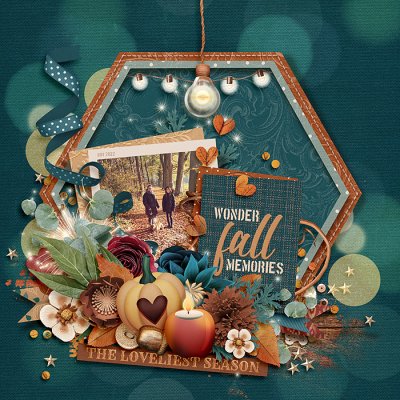 Wonder Fall memories