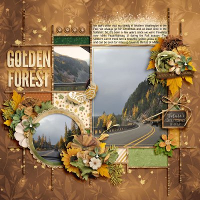 Golden Forest
