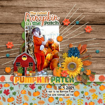 Pumpkin Patch