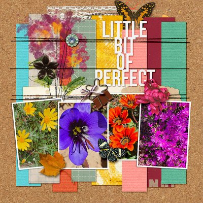 Little bit of Perfect