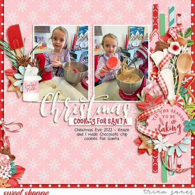Cookies for Santa