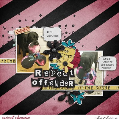 Repeat Offender