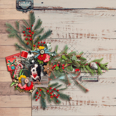 A Country Christmas
