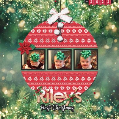 Riley's First Christmas