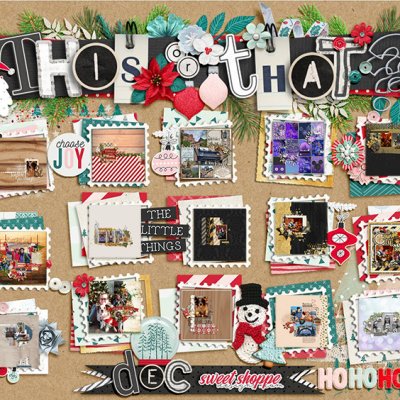 Tracker Romajo December 2023