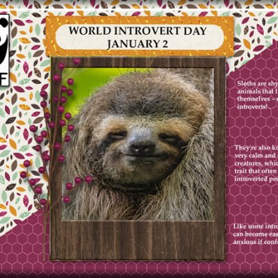 ATC 2024-003 World Introvert Day