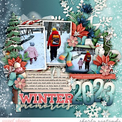 winter 2023 memories