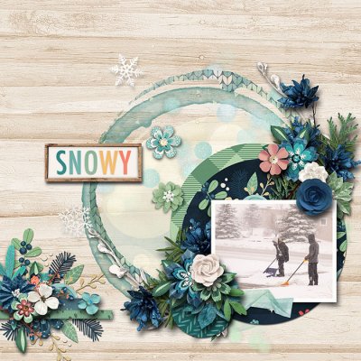 Snowy