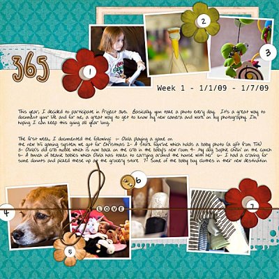 Project 365 - Week 1
