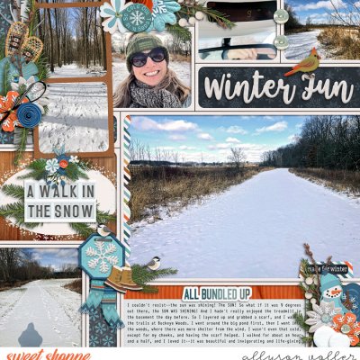 Winter Fun