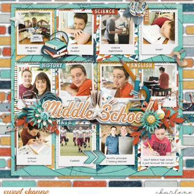 Middle School