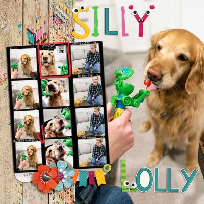 Silly Lolly