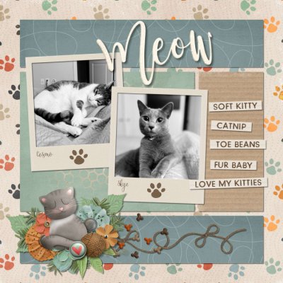 Meow4