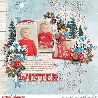 Winter Memories