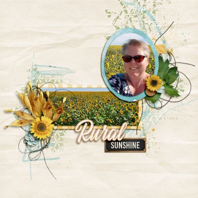 Rural Sunshine