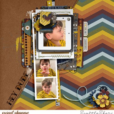 Hey Dude