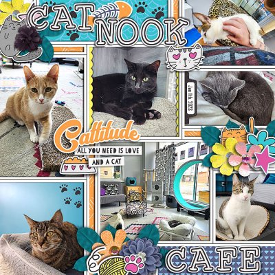 Cat Nook Cafe