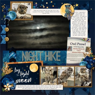 Night Hike