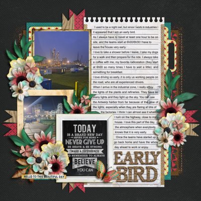Early bird