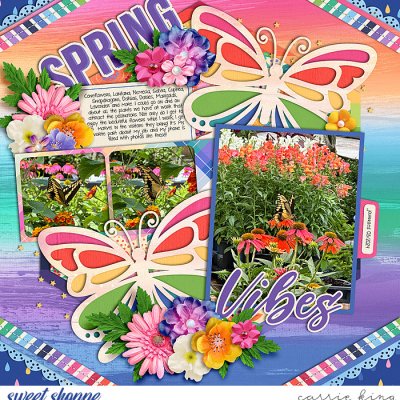 Spring Vibes