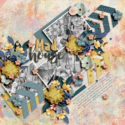 Mad House