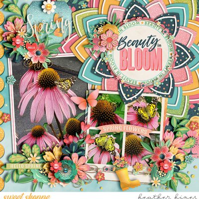 Beauty In Bloom