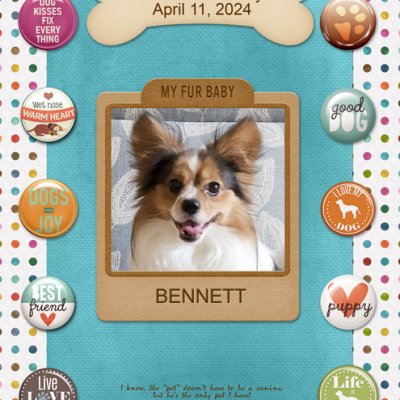 National Pet Day April 11, 2024