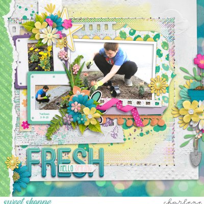 Fresh