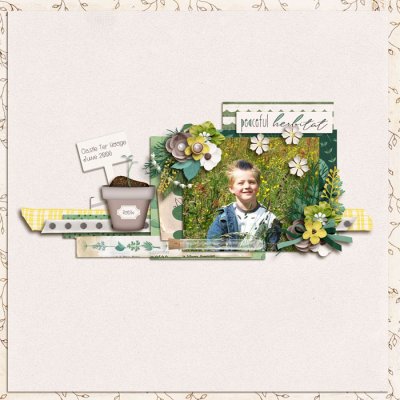 Herb Garden