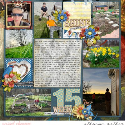 2024 PL 15 week 01