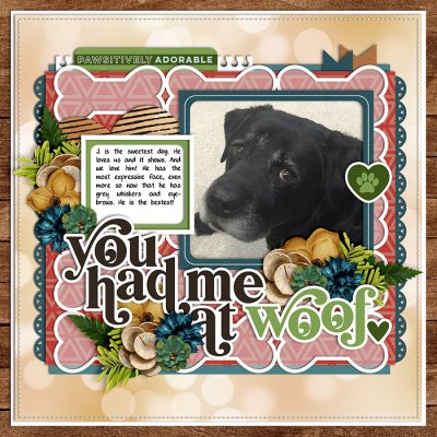 You Had Me At Woof