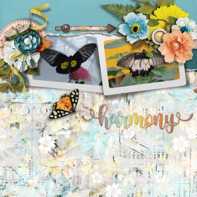 Scrap Your Heart Out, Template challenge