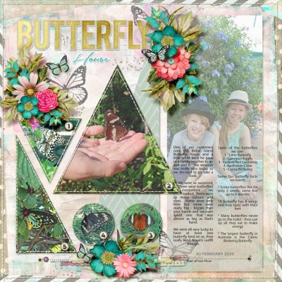 Butterfly House