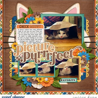 Purrfect