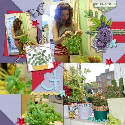 Scrap your Garden, Patio or House Plants.